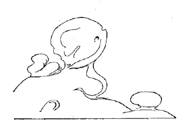 盤點(diǎn)各類地質(zhì)地貌類型-地?zé)豳Y源開(kāi)發(fā)-地大熱能